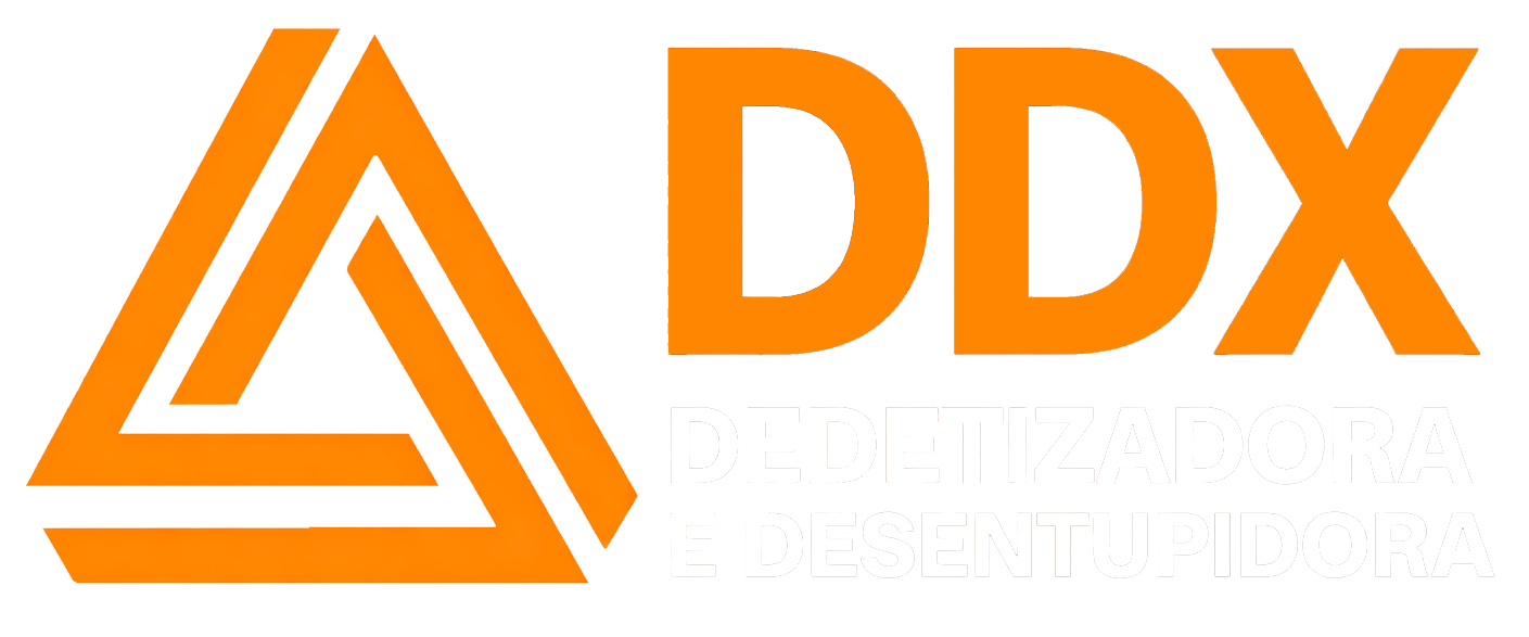 Logo DDX Serviços